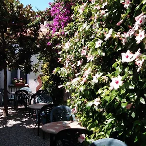 https://mitus.catalonia-hotels.com